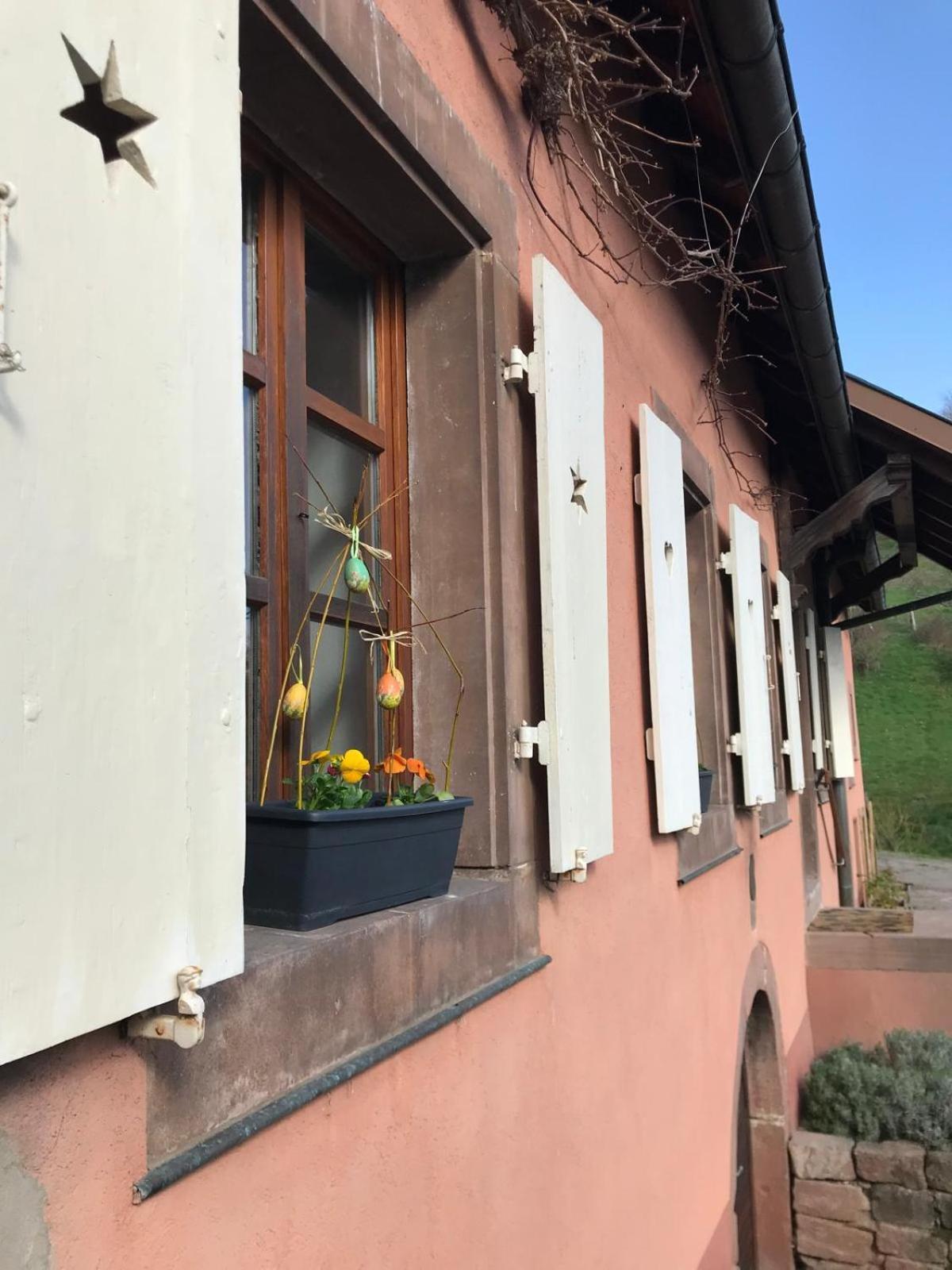 La Fermette Vosgienne De La Goutte Apartment Steige Екстериор снимка