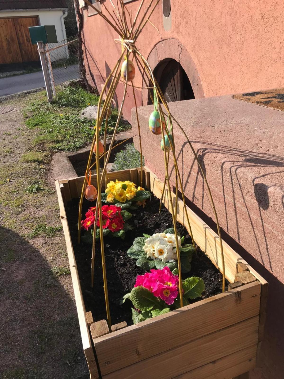La Fermette Vosgienne De La Goutte Apartment Steige Екстериор снимка